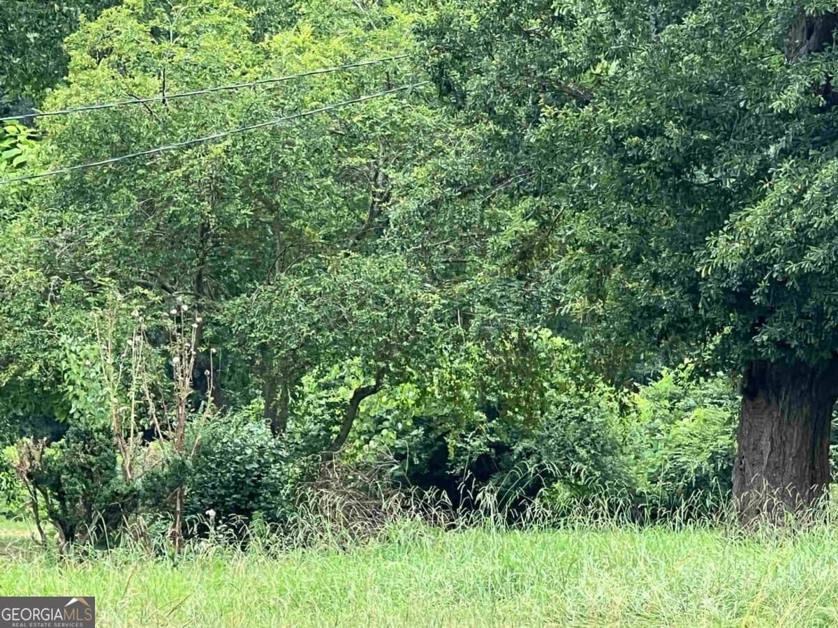 residential lot for sale at 4550 Lower Apalachee Road, Madison, GA 30650 — photo 4