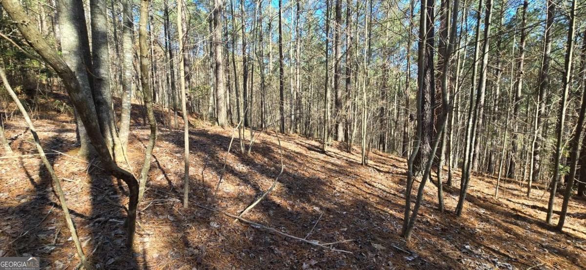 residential lot for sale at LOT 41 Deyton Drive, Blairsville, GA 30512 — photo 6