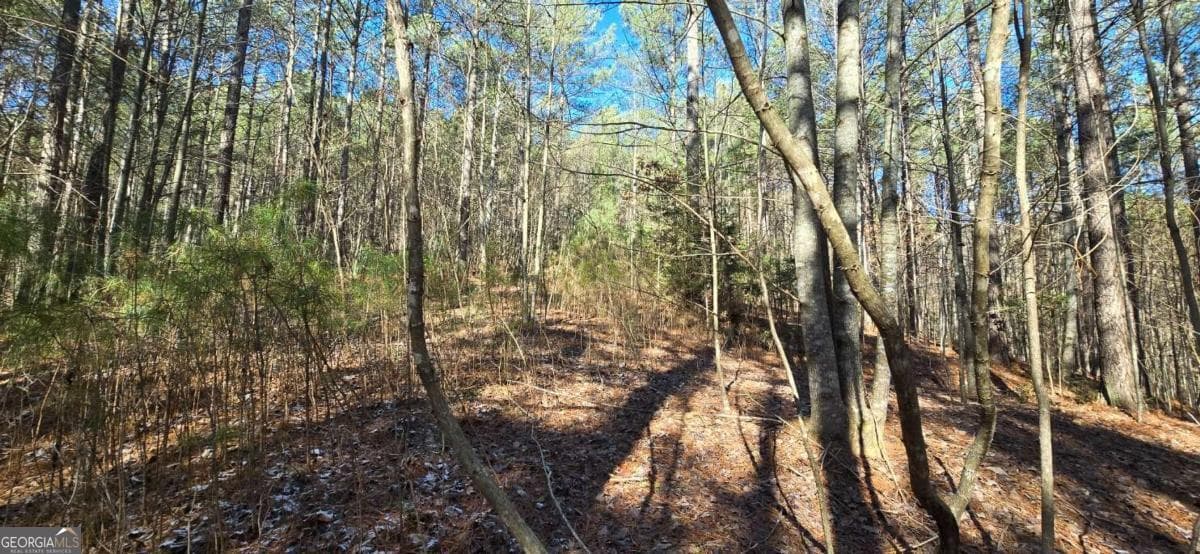 residential lot for sale at LOT 41 Deyton Drive, Blairsville, GA 30512 — photo 7