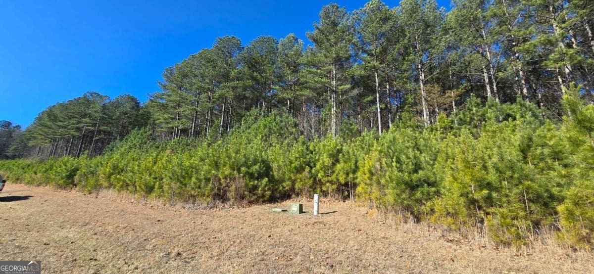 residential lot for sale at LOT 41 Deyton Drive, Blairsville, GA 30512 — photo 1 of 34