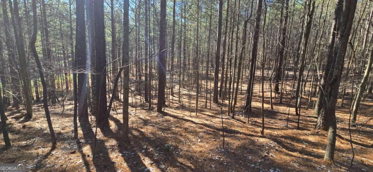 residential lot for sale at LOT 41 Deyton Drive, Blairsville, GA 30512 — photo 5