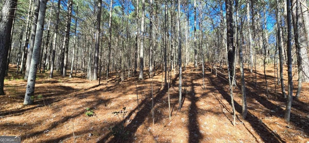 residential lot for sale at LOT 41 Deyton Drive, Blairsville, GA 30512 — photo 4
