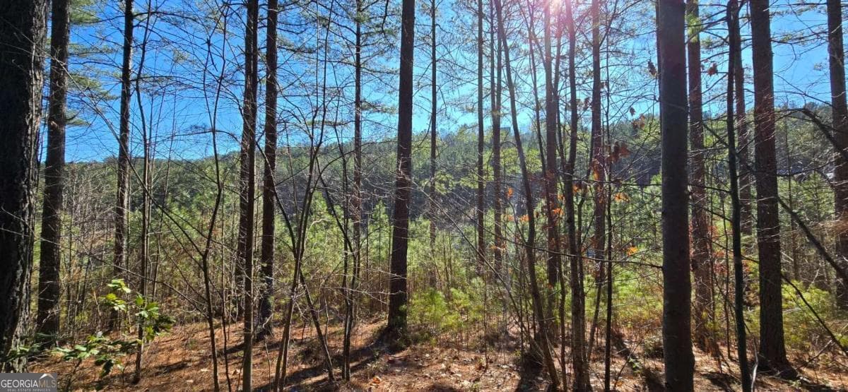 residential lot for sale at LOT 41 Deyton Drive, Blairsville, GA 30512 — photo 8