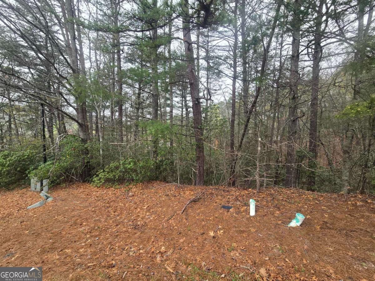 residential lot for sale at 34-35 Vienna Ring, Helen, GA 30545 — photo 2
