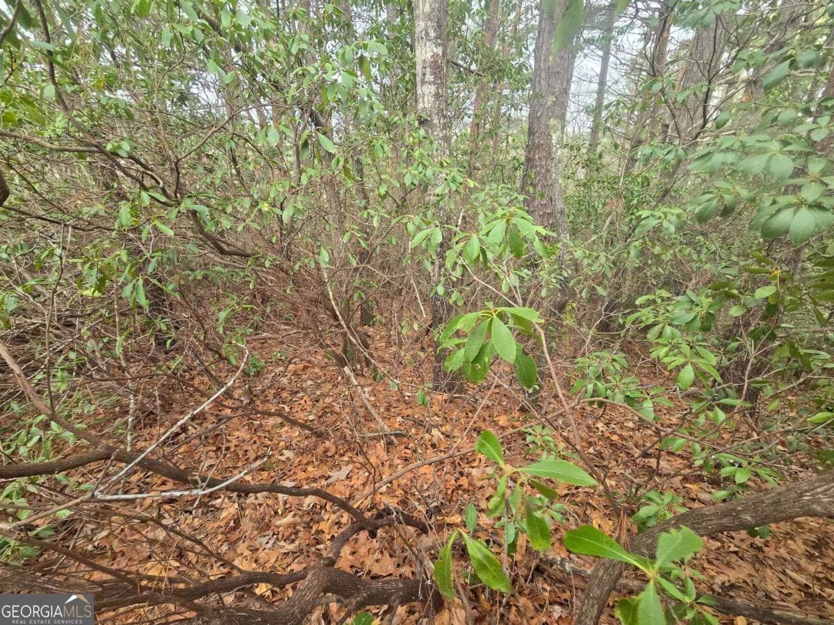 residential lot for sale at 34-35 Vienna Ring, Helen, GA 30545 — photo 1 of 8