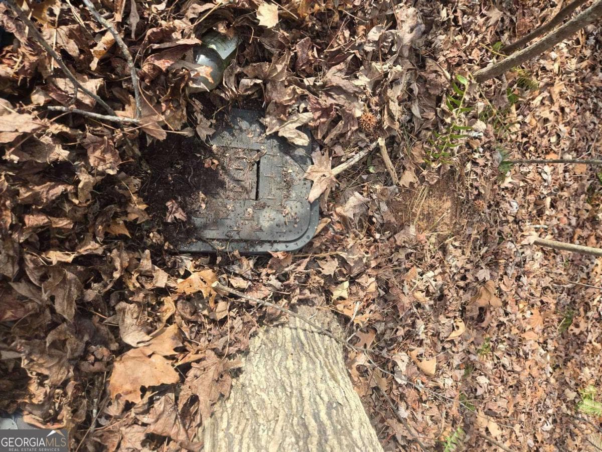 residential lot for sale at 34-35 Vienna Ring, Helen, GA 30545 — photo 5