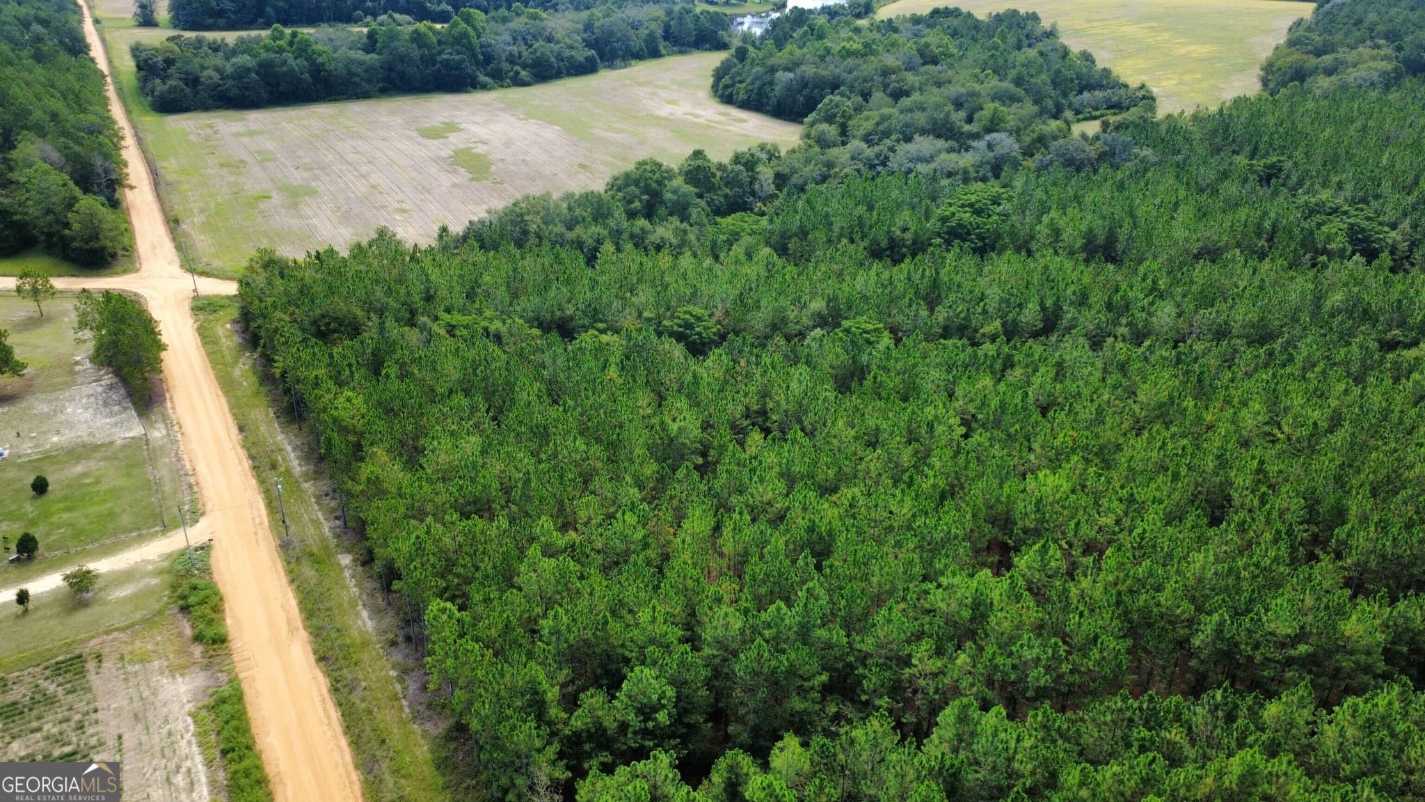 unimproved land for sale at TRACT 4 A L Reeves Road, Fitzgerald, GA 31750 — photo 2