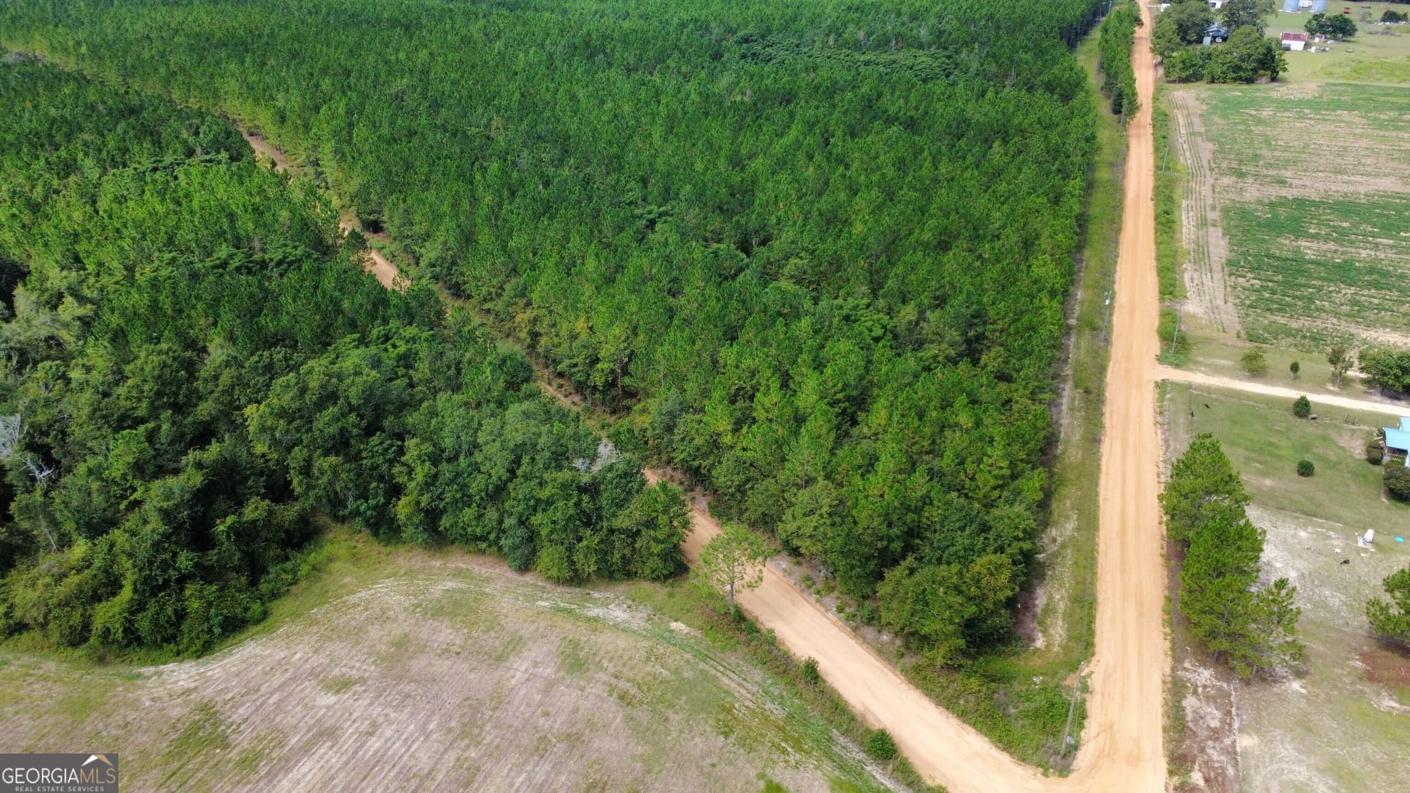 unimproved land for sale at TRACT 4 A L Reeves Road, Fitzgerald, GA 31750 — photo 3
