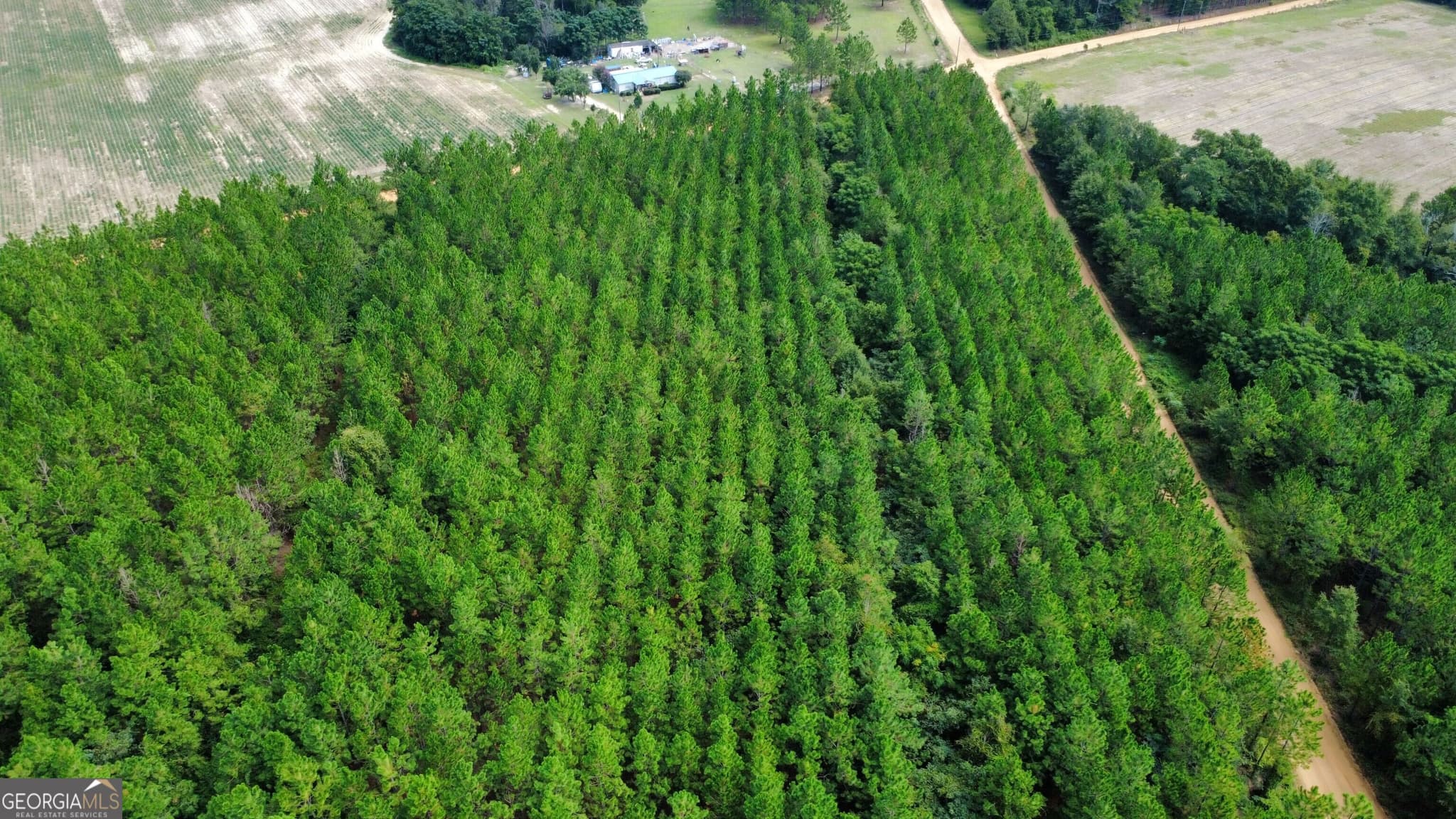 unimproved land for sale at TRACT 4 A L Reeves Road, Fitzgerald, GA 31750 — photo 1 of 5
