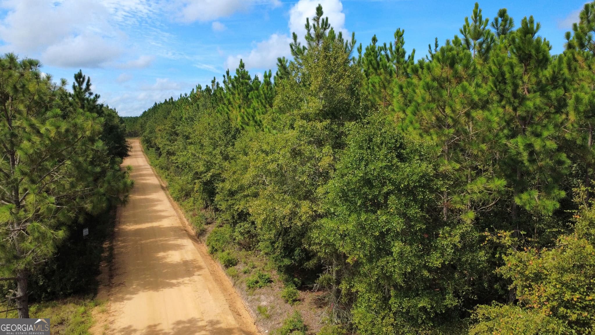 unimproved land for sale at TRACT 4 A L Reeves Road, Fitzgerald, GA 31750 — photo 5