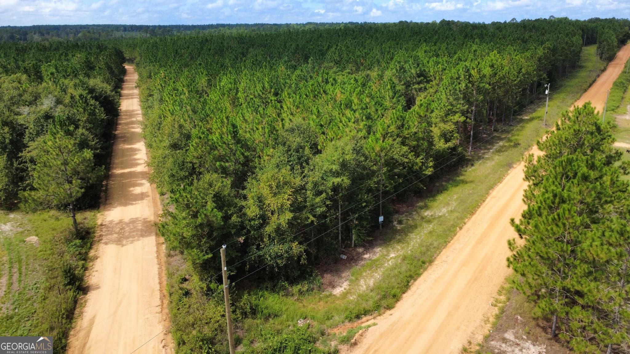 unimproved land for sale at TRACT 4 A L Reeves Road, Fitzgerald, GA 31750 — photo 4