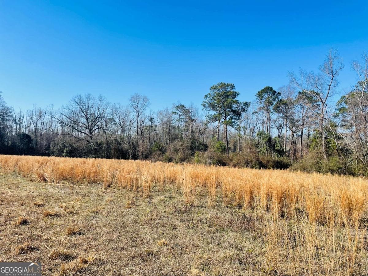 agriculture for sale at 16.59AC Rosemont Road, Glennville, GA 30427 — photo 2