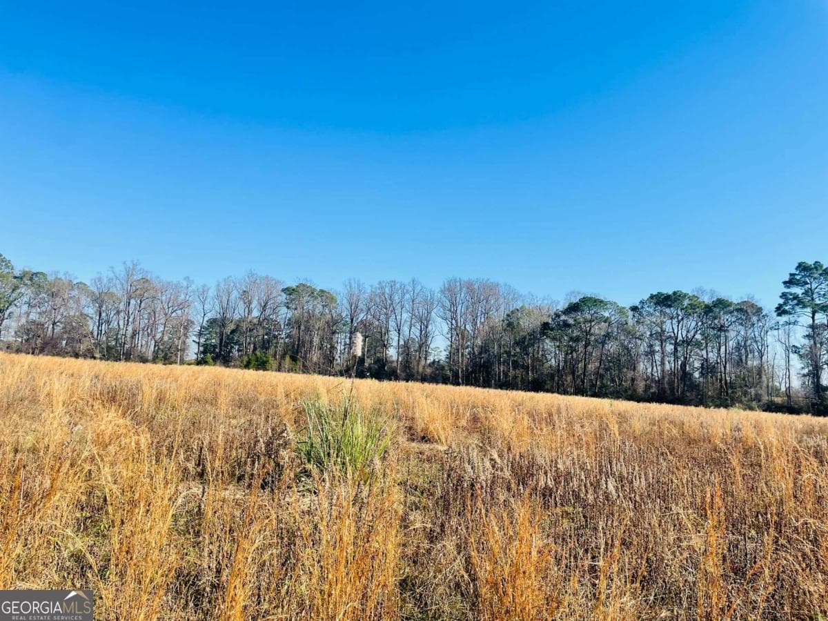 agriculture for sale at 16.59AC Rosemont Road, Glennville, GA 30427 — photo 6