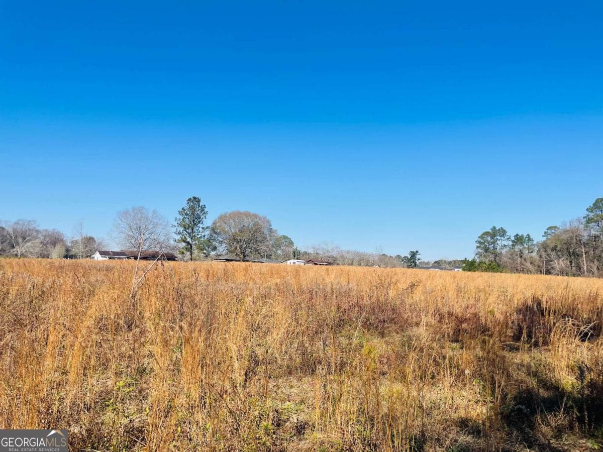 agriculture for sale at 16.59AC Rosemont Road, Glennville, GA 30427 — photo 7