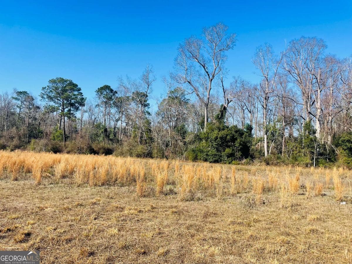 agriculture for sale at 16.59AC Rosemont Road, Glennville, GA 30427 — photo 3