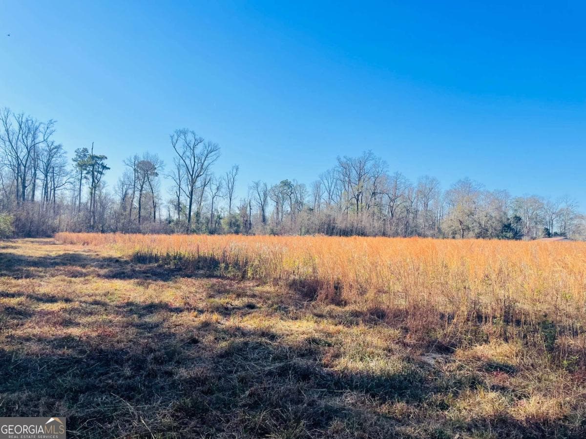 agriculture for sale at 16.59AC Rosemont Road, Glennville, GA 30427 — photo 5