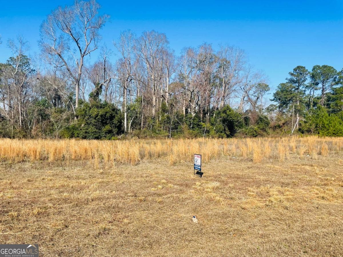 agriculture for sale at 16.59AC Rosemont Road, Glennville, GA 30427 — photo 4
