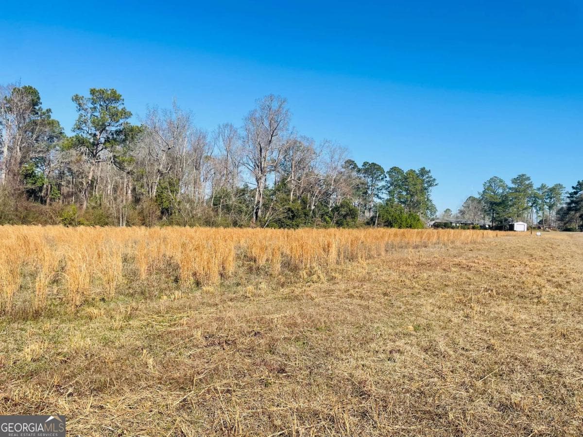 agriculture for sale at 16.59AC Rosemont Road, Glennville, GA 30427 — photo 8
