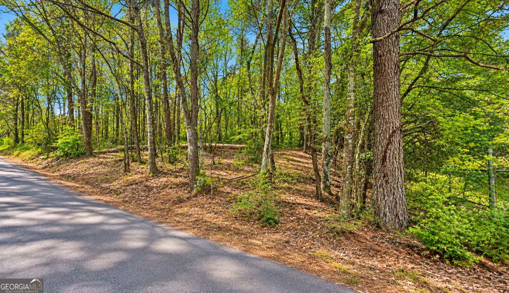 residential lot for sale at 0 Pearidge Road, Canton, GA 30114 — photo 5
