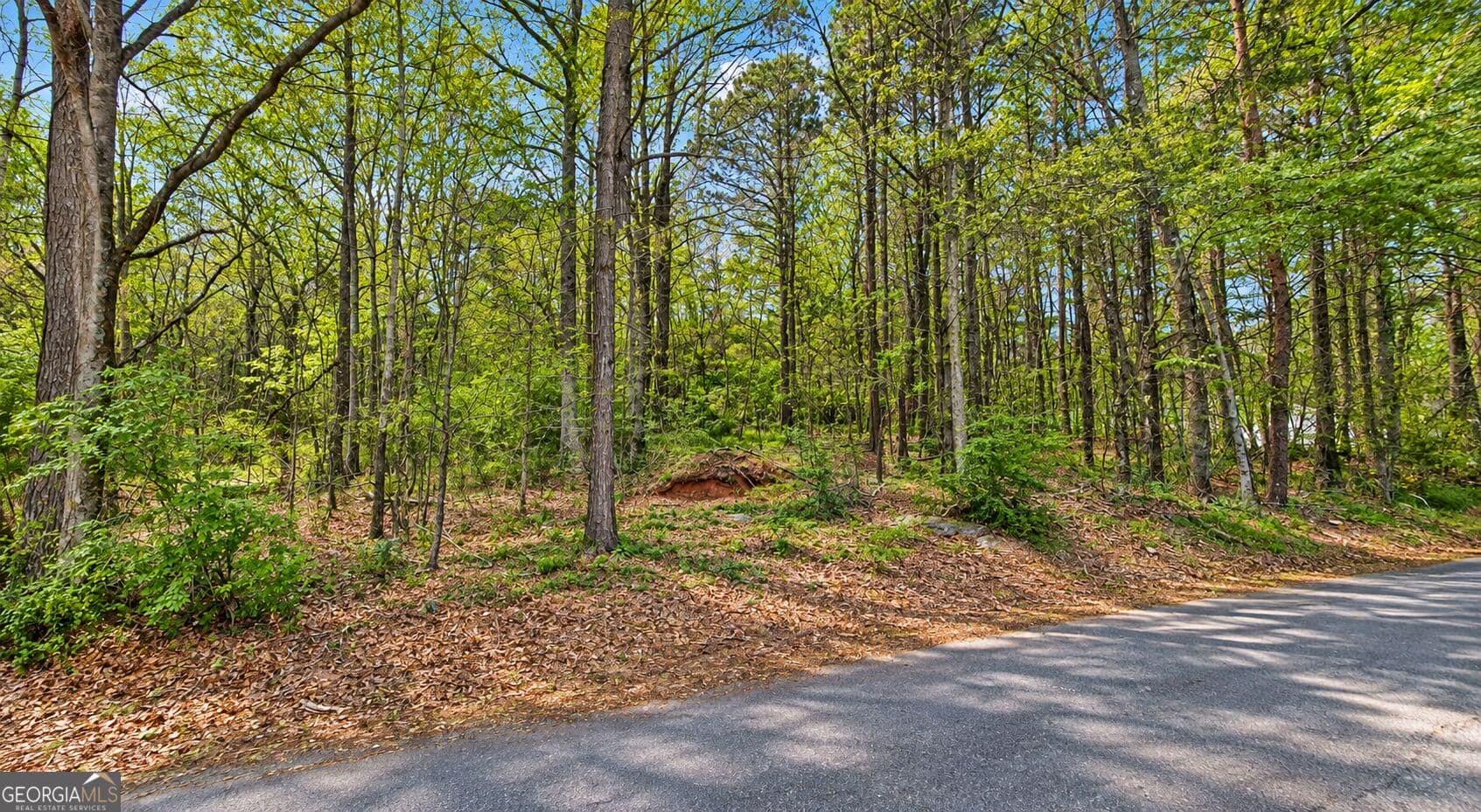 residential lot for sale at 0 Pearidge Road, Canton, GA 30114 — photo 4