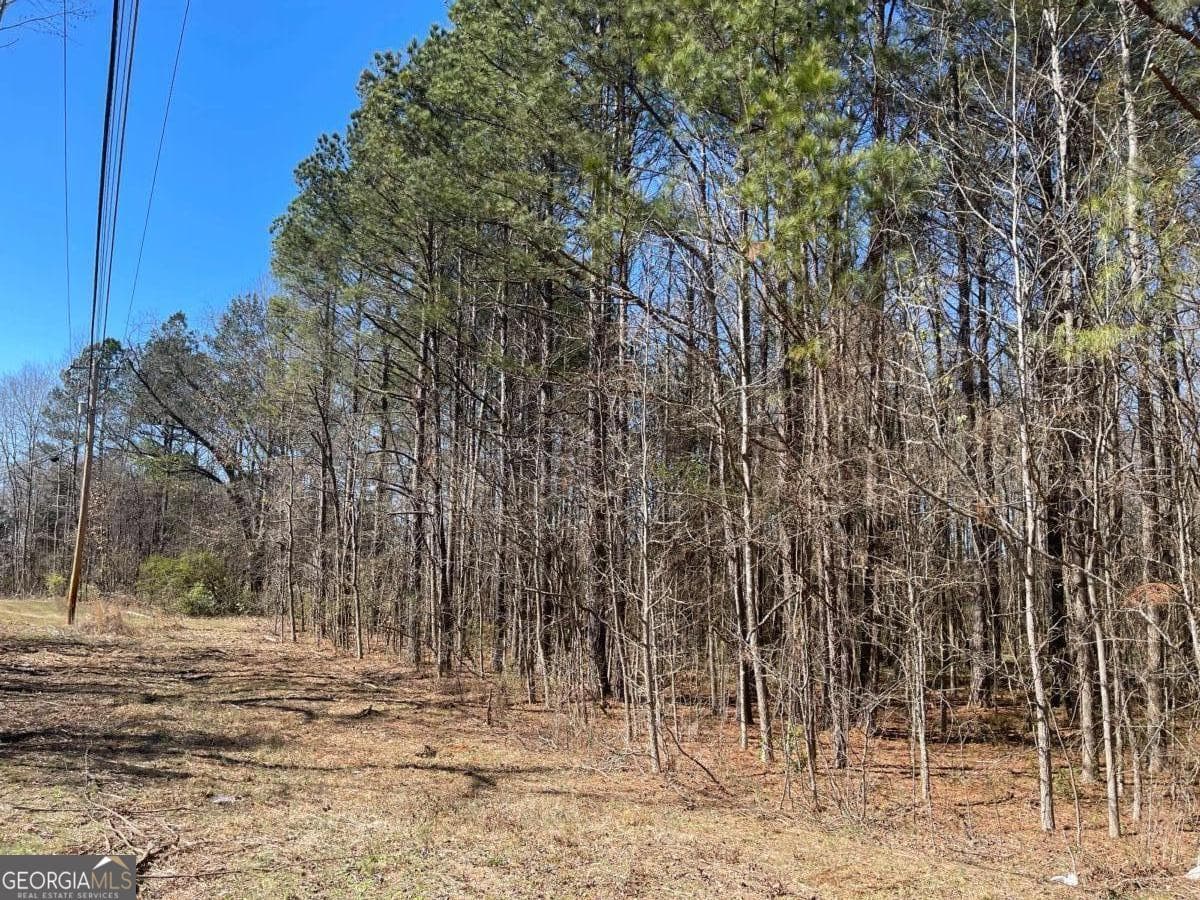 unimproved land for sale at 0 Brown Bridge Road, Covington, GA 30014 — photo 2