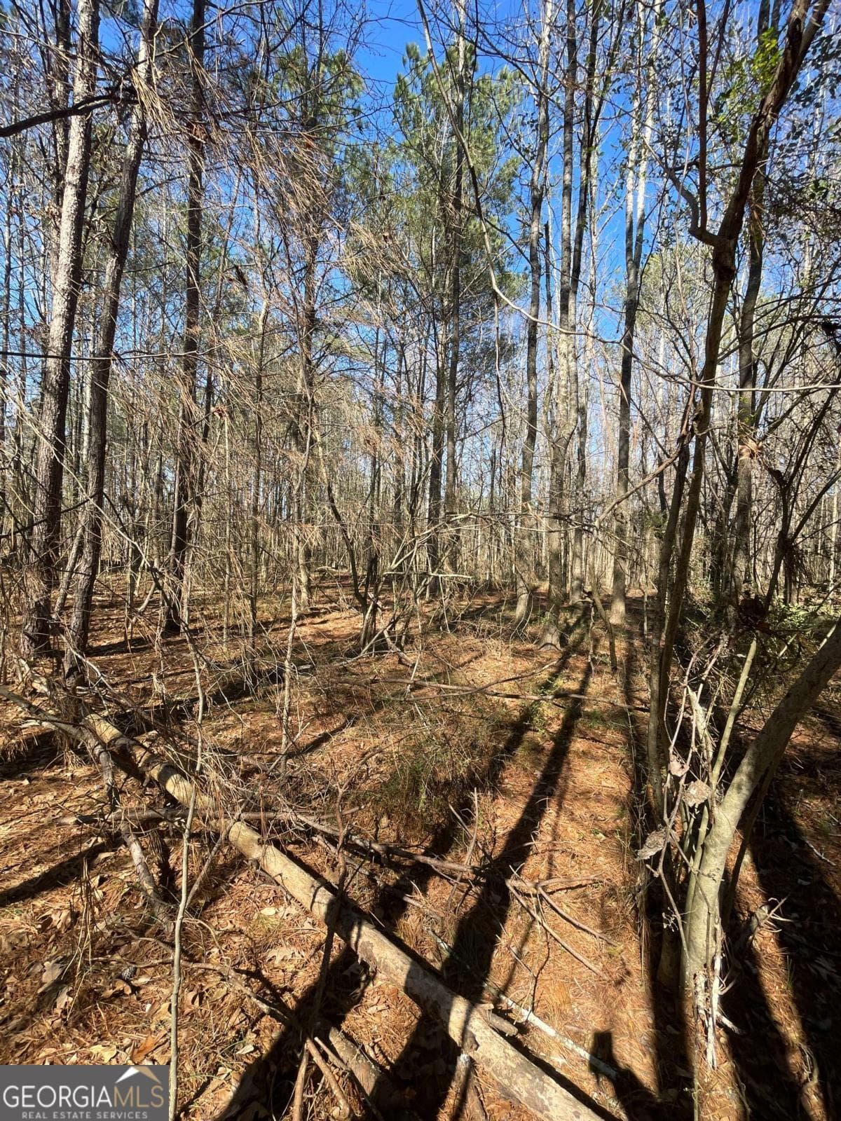 unimproved land for sale at 0 Brown Bridge Road, Covington, GA 30014 — photo 6