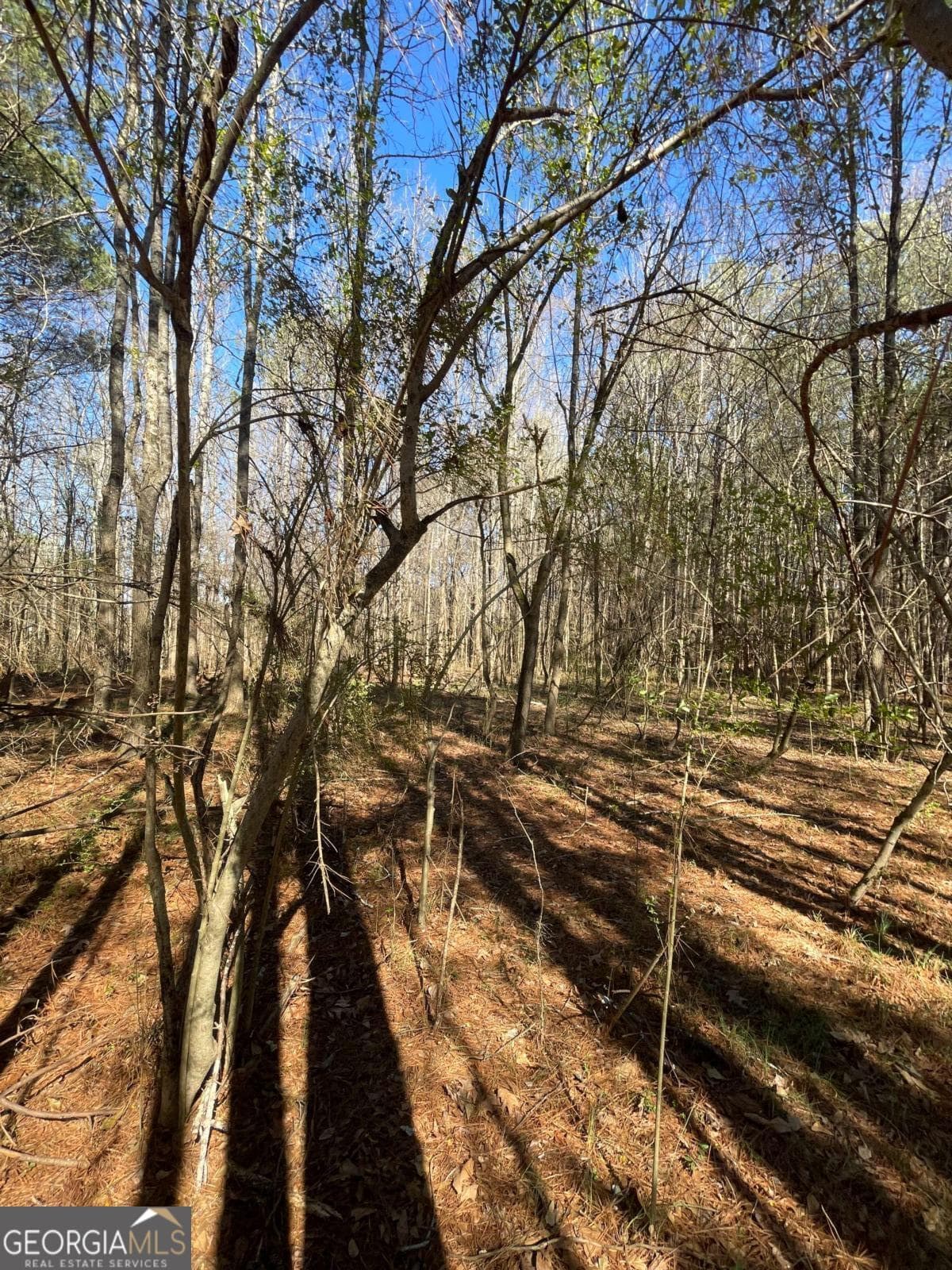 unimproved land for sale at 0 Brown Bridge Road, Covington, GA 30014 — photo 7