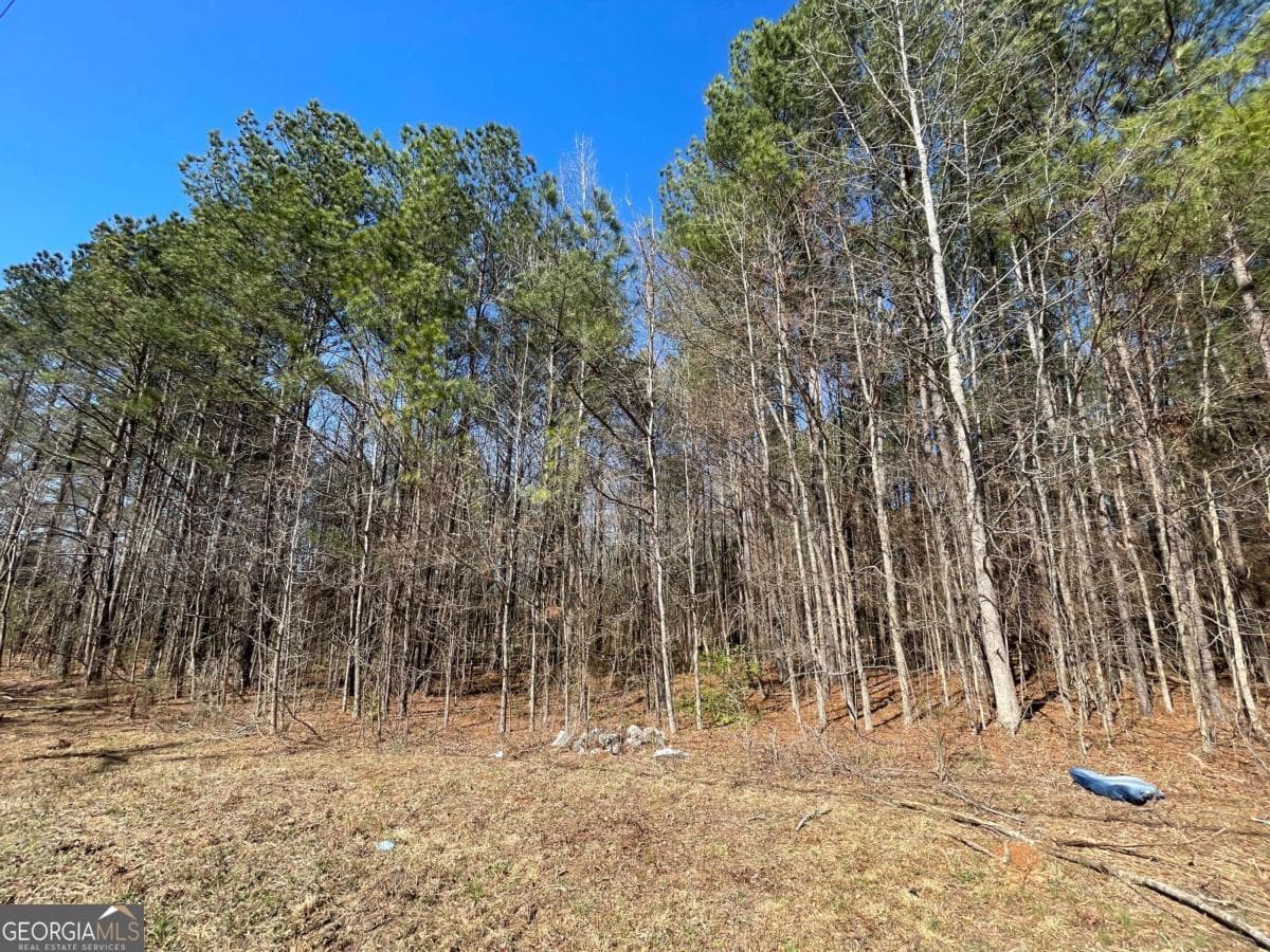 unimproved land for sale at 0 Brown Bridge Road, Covington, GA 30014 — photo 1 of 14