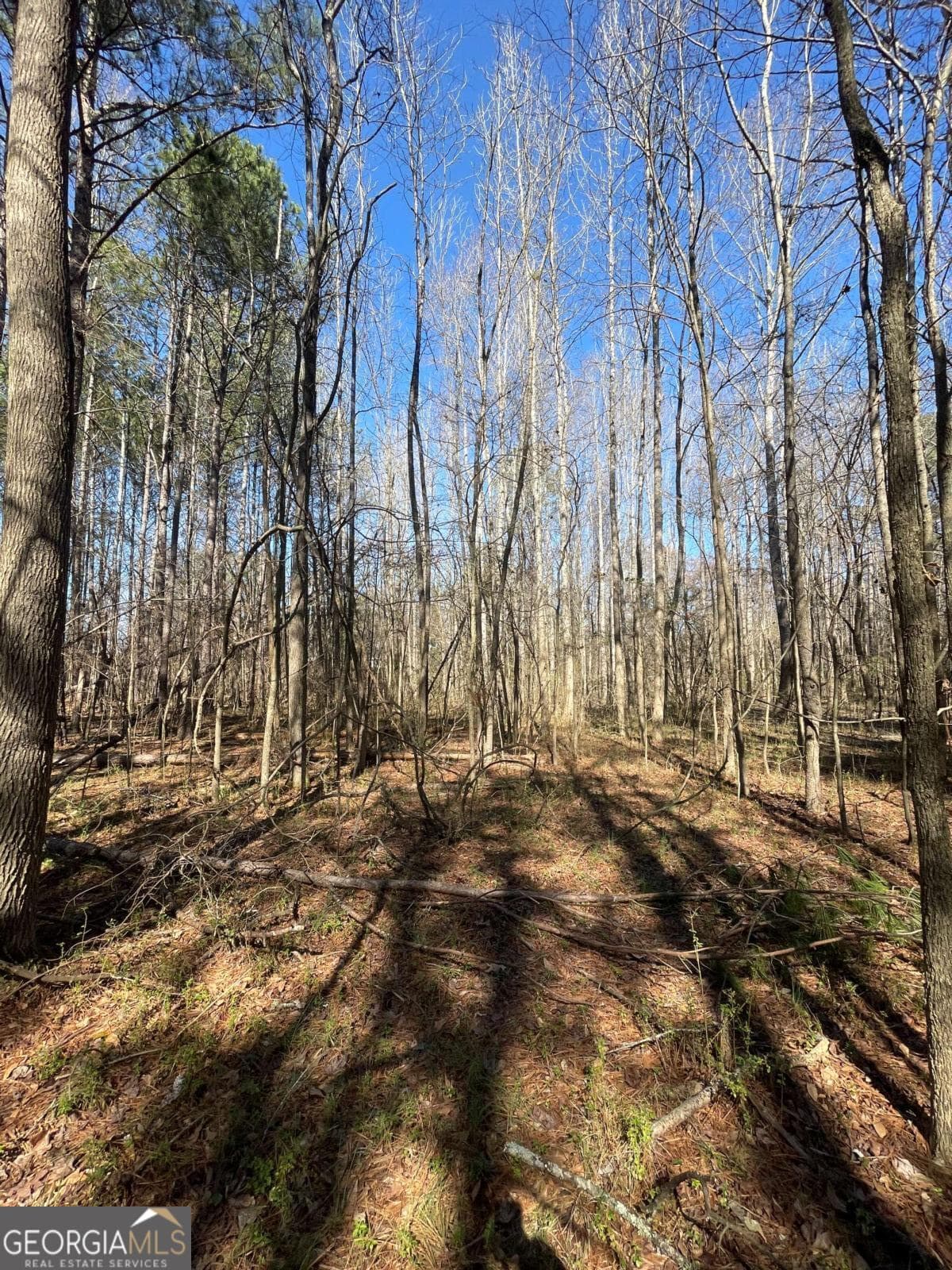 unimproved land for sale at 0 Brown Bridge Road, Covington, GA 30014 — photo 5