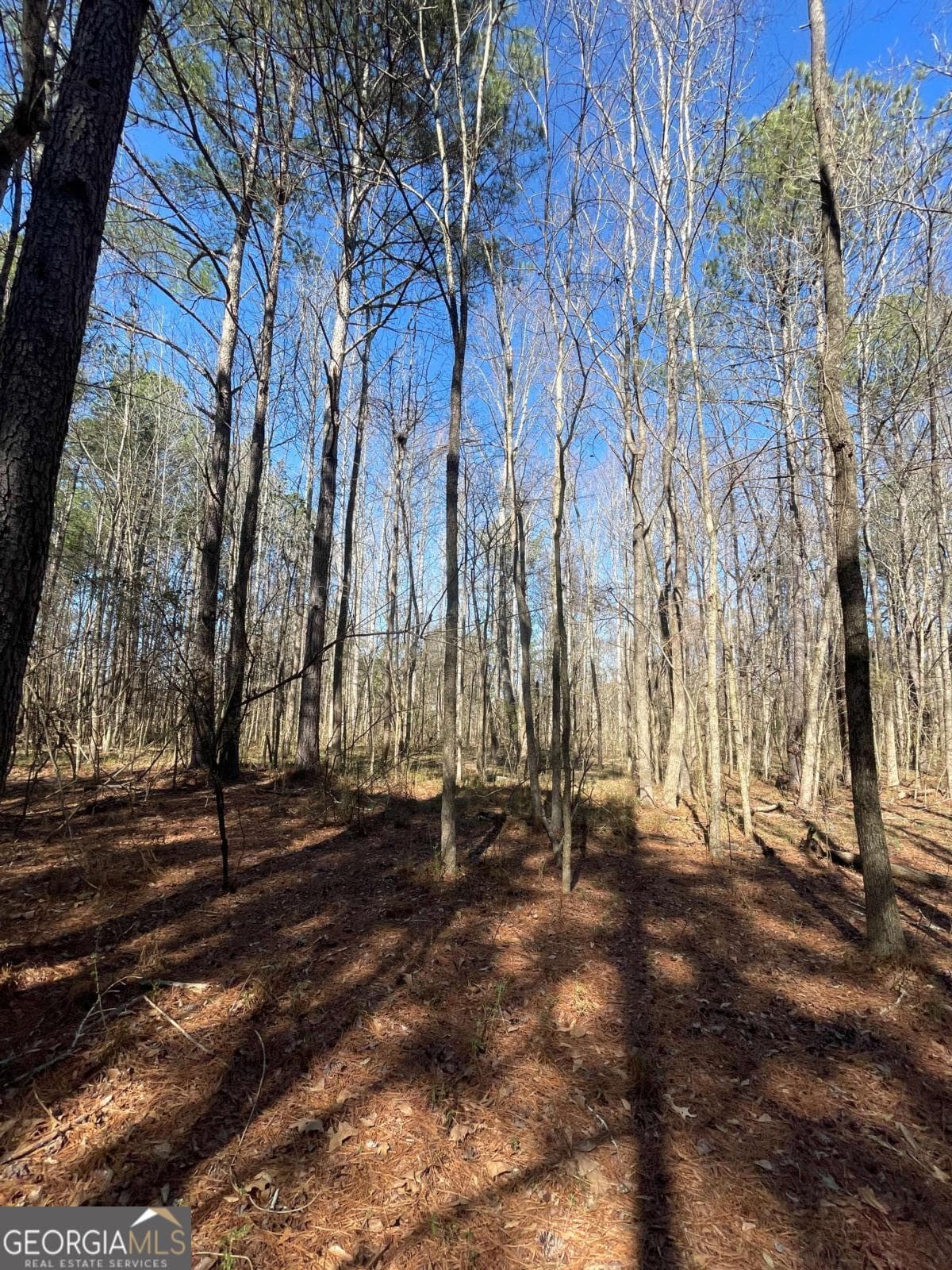 unimproved land for sale at 0 Brown Bridge Road, Covington, GA 30014 — photo 4