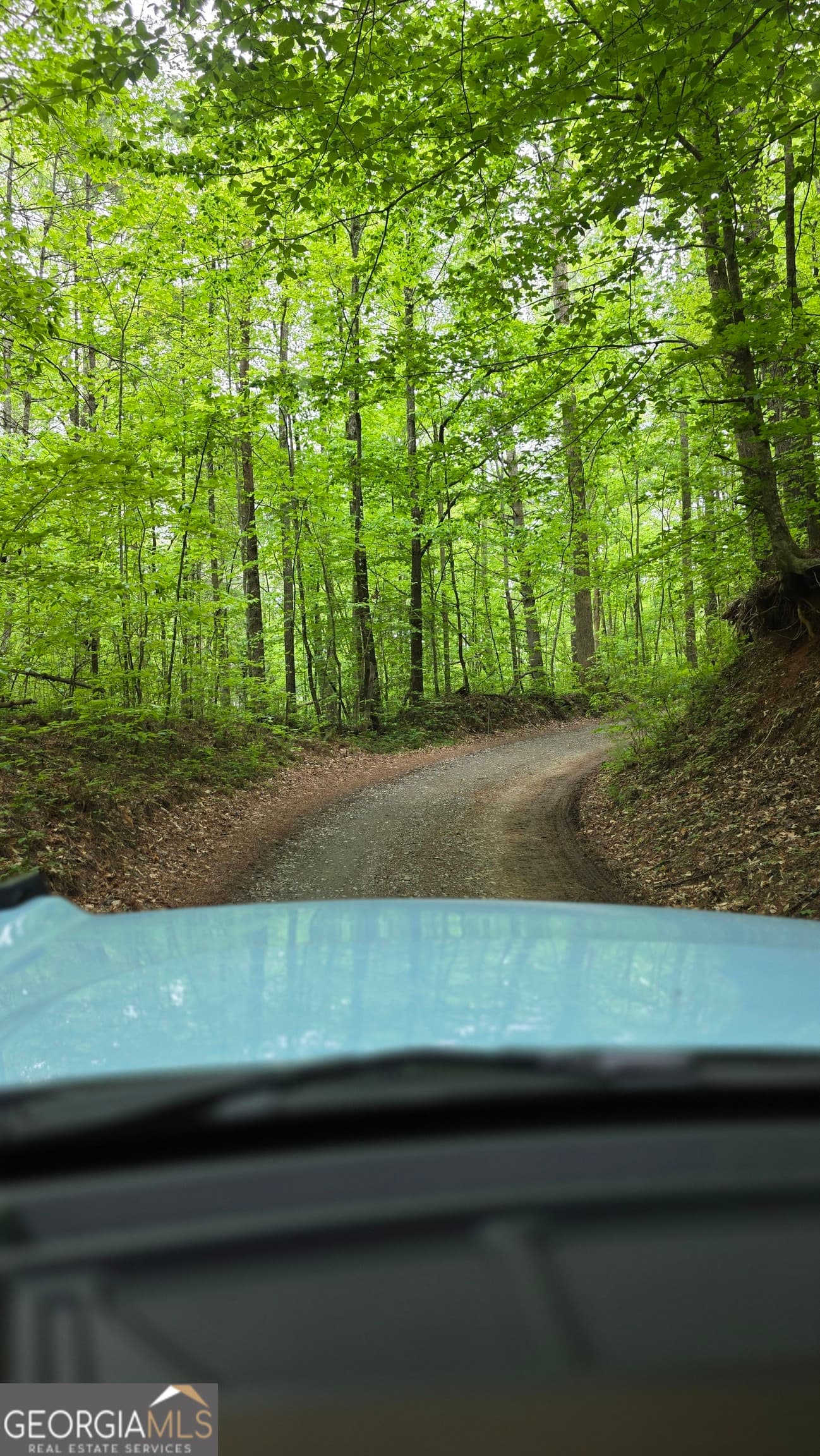 unimproved land for sale at 0 Pleasant Hill Trail, Ellijay, GA 30540 — photo 2