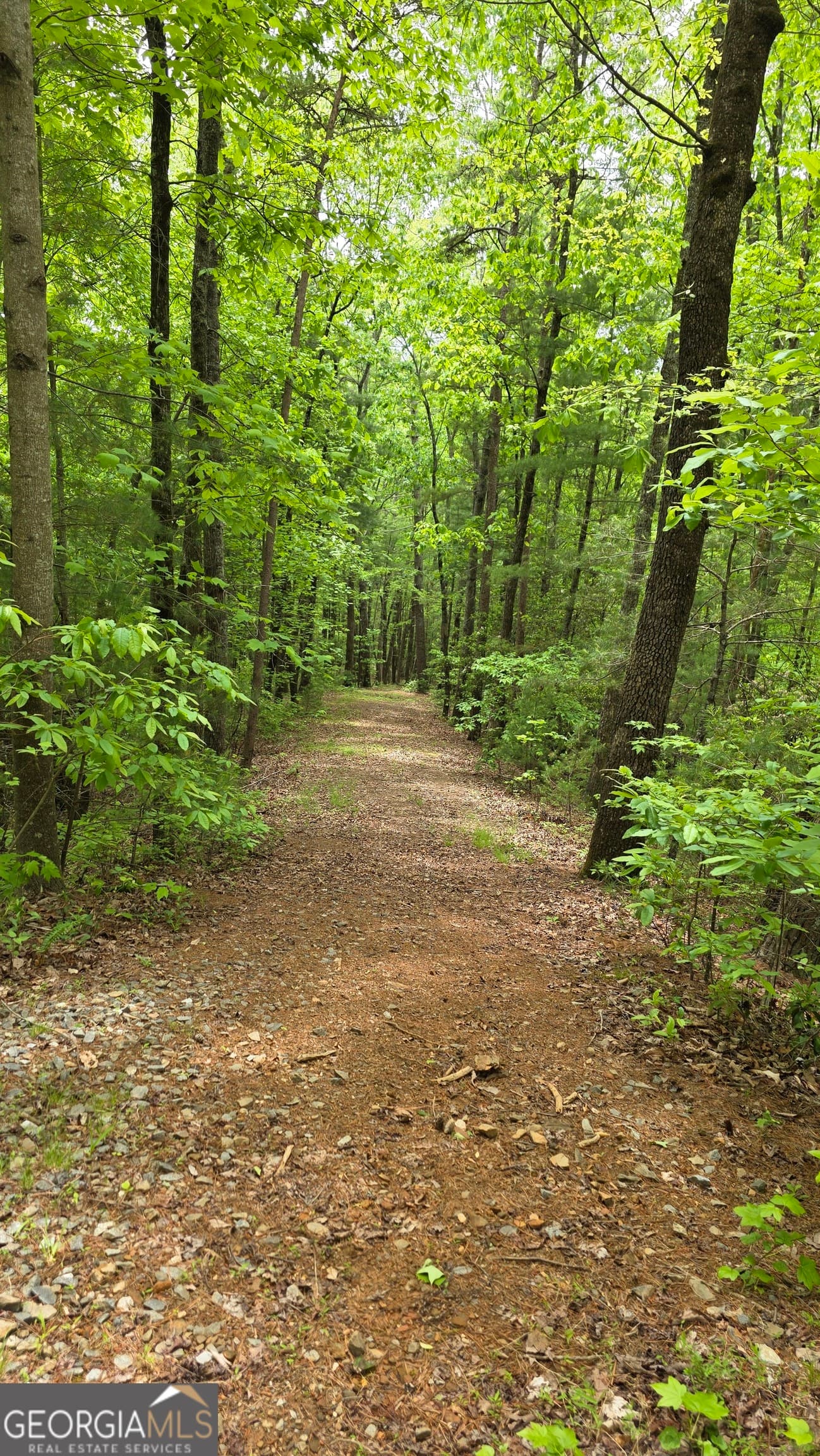 unimproved land for sale at 0 Pleasant Hill Trail, Ellijay, GA 30540 — photo 6