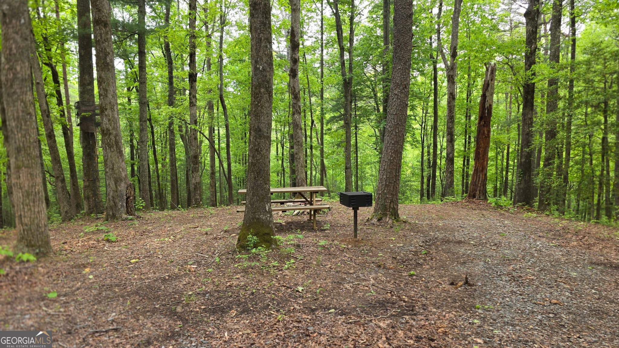 unimproved land for sale at 0 Pleasant Hill Trail, Ellijay, GA 30540 — photo 3
