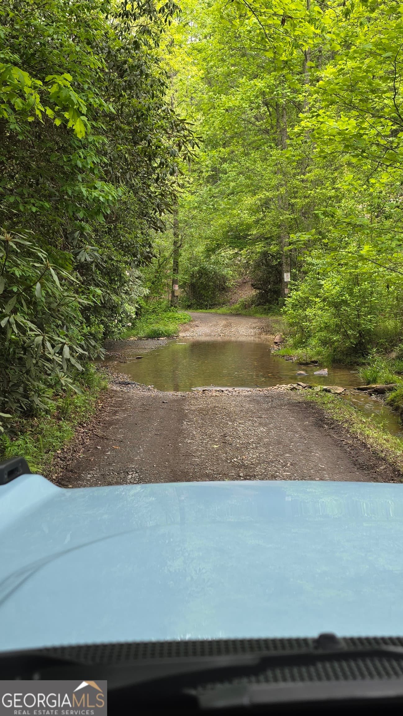 unimproved land for sale at 0 Pleasant Hill Trail, Ellijay, GA 30540 — photo 1 of 29