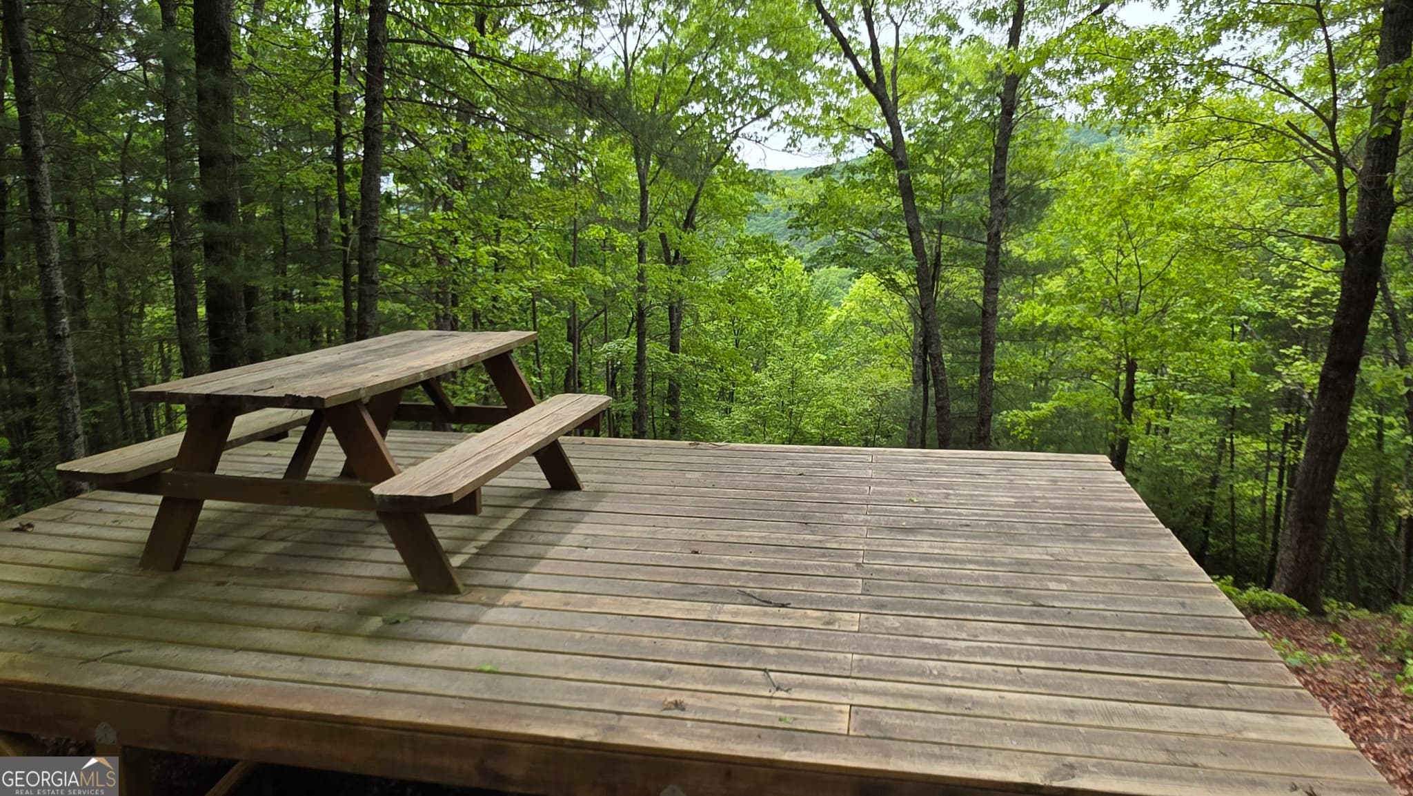 unimproved land for sale at 0 Pleasant Hill Trail, Ellijay, GA 30540 — photo 10