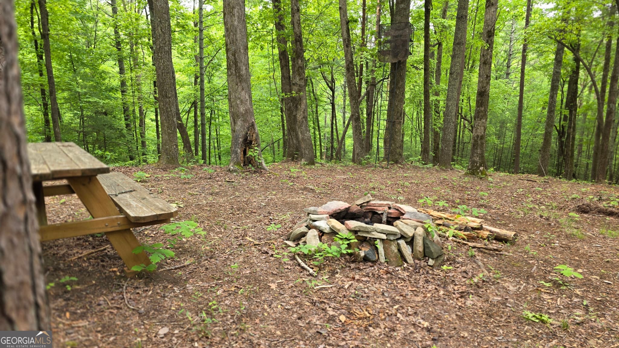 unimproved land for sale at 0 Pleasant Hill Trail, Ellijay, GA 30540 — photo 4