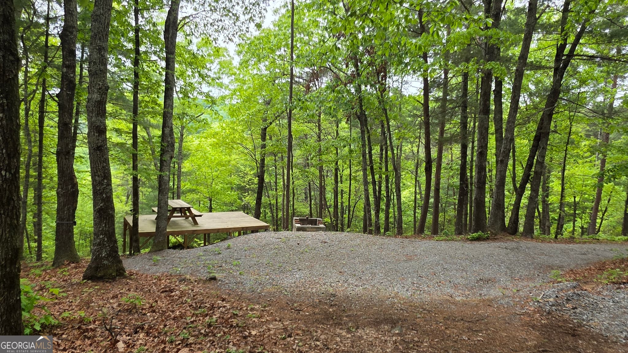 unimproved land for sale at 0 Pleasant Hill Trail, Ellijay, GA 30540 — photo 8