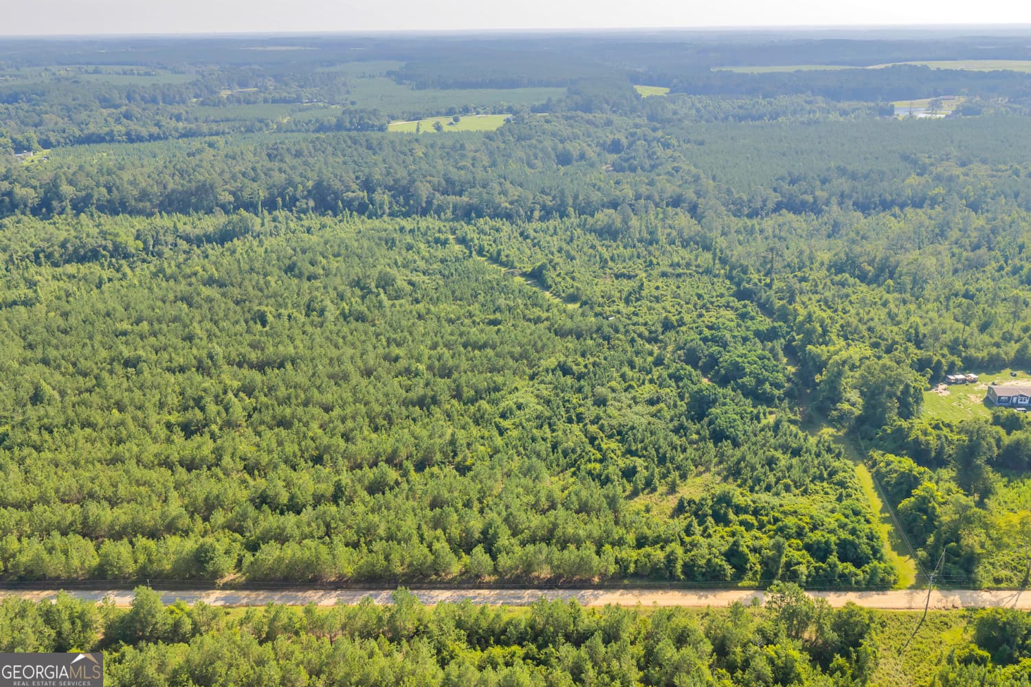 unimproved land for sale at 6 Rozar Goolsby Road, Eastman, GA 31023 — photo 2