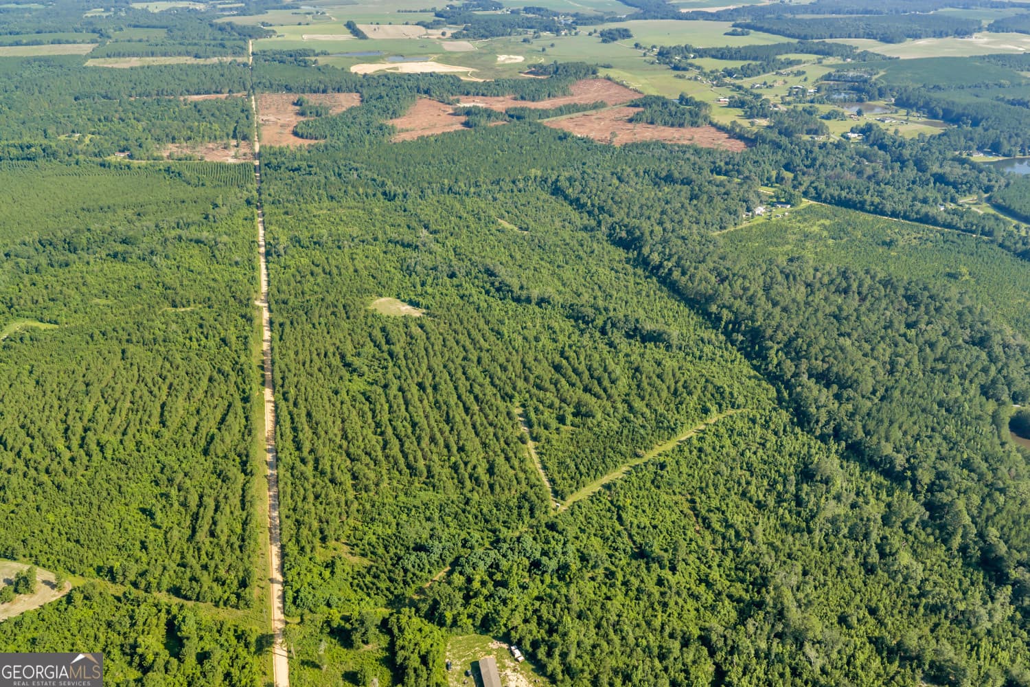 unimproved land for sale at 6 Rozar Goolsby Road, Eastman, GA 31023 — photo 6