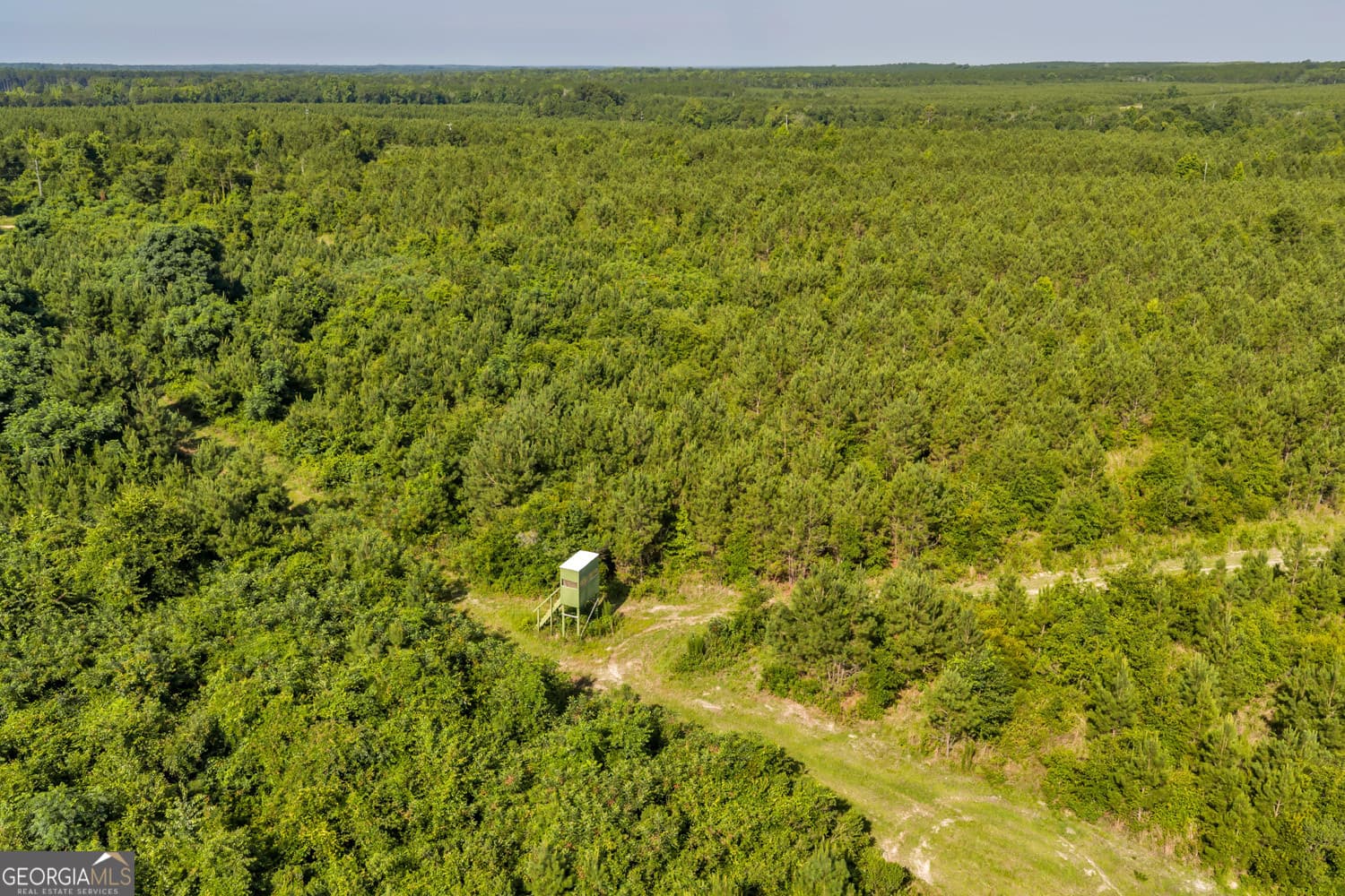 unimproved land for sale at 6 Rozar Goolsby Road, Eastman, GA 31023 — photo 3