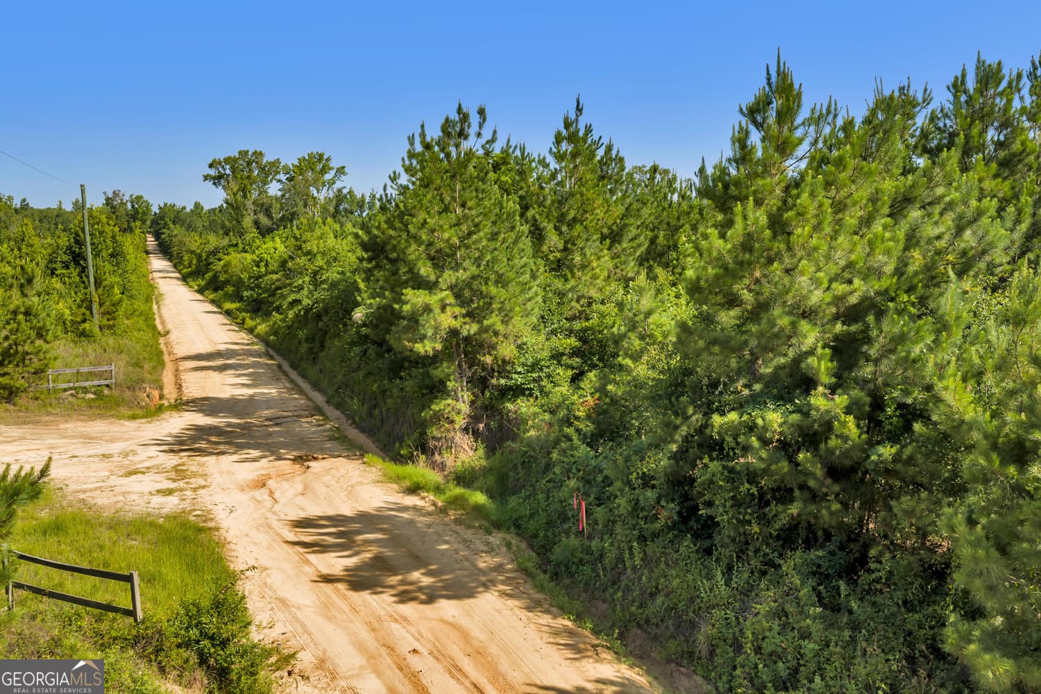 unimproved land for sale at 6 Rozar Goolsby Road, Eastman, GA 31023 — photo 5