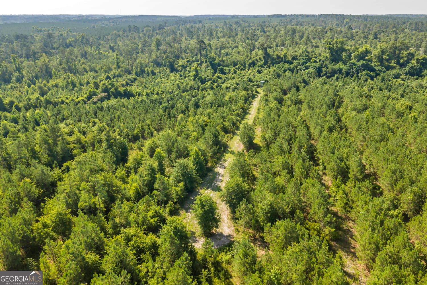 unimproved land for sale at 6 Rozar Goolsby Road, Eastman, GA 31023 — photo 9