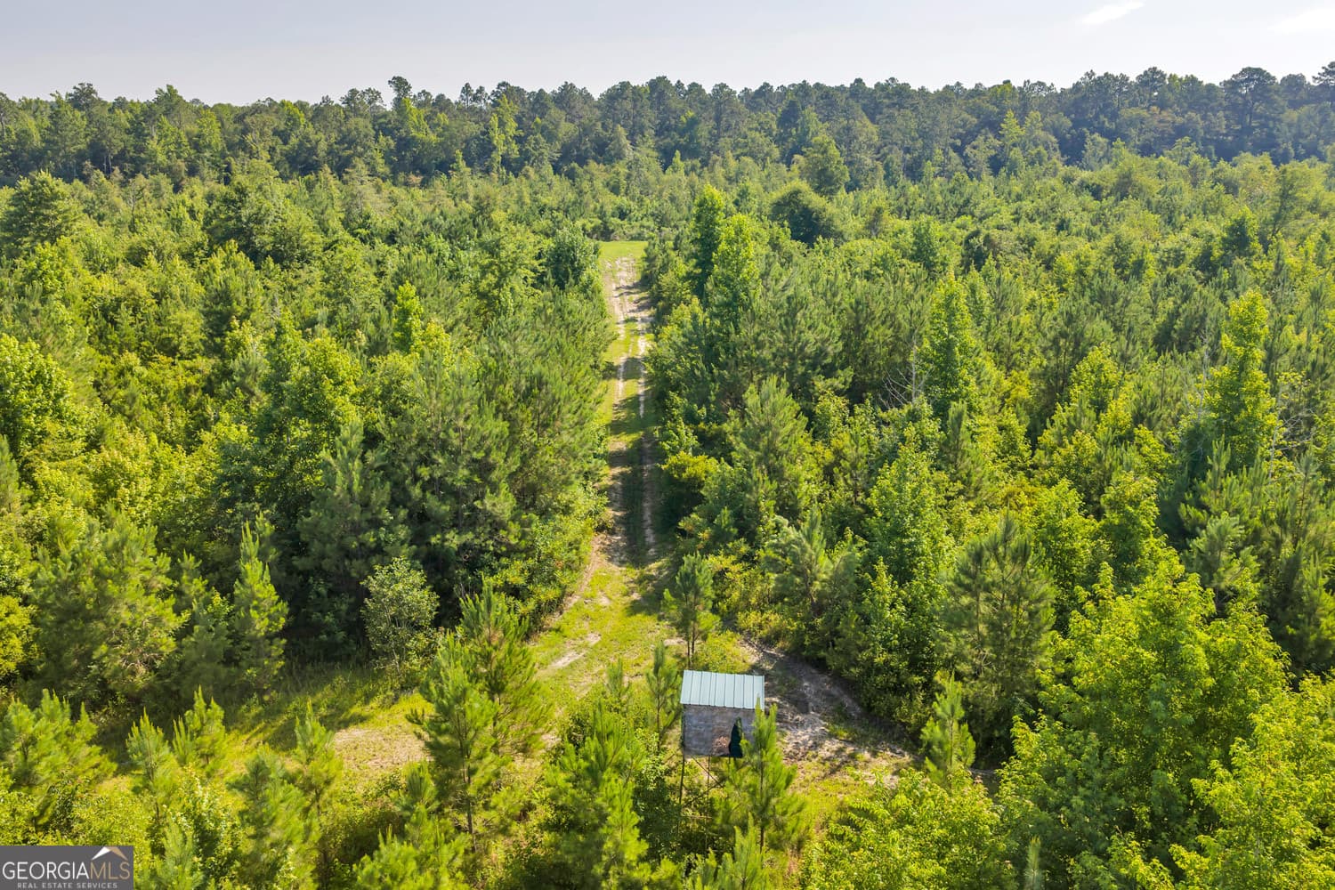 unimproved land for sale at 6 Rozar Goolsby Road, Eastman, GA 31023 — photo 10