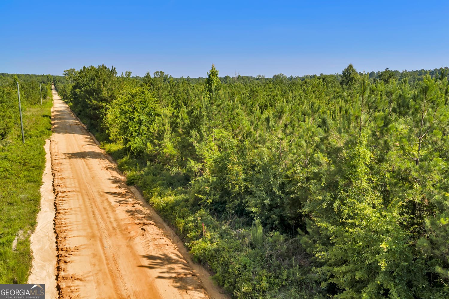 unimproved land for sale at 6 Rozar Goolsby Road, Eastman, GA 31023 — photo 4