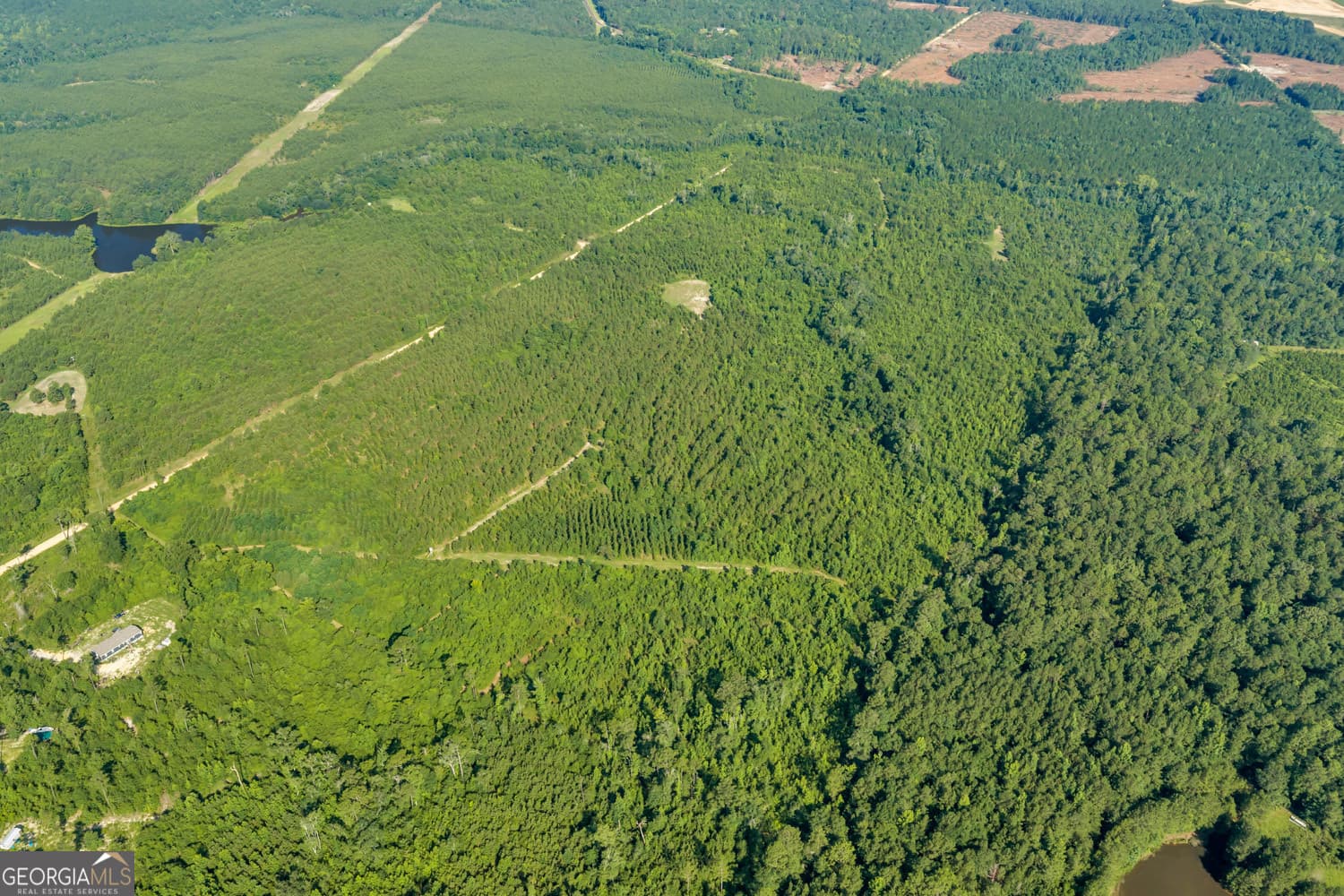 unimproved land for sale at 6 Rozar Goolsby Road, Eastman, GA 31023 — photo 8