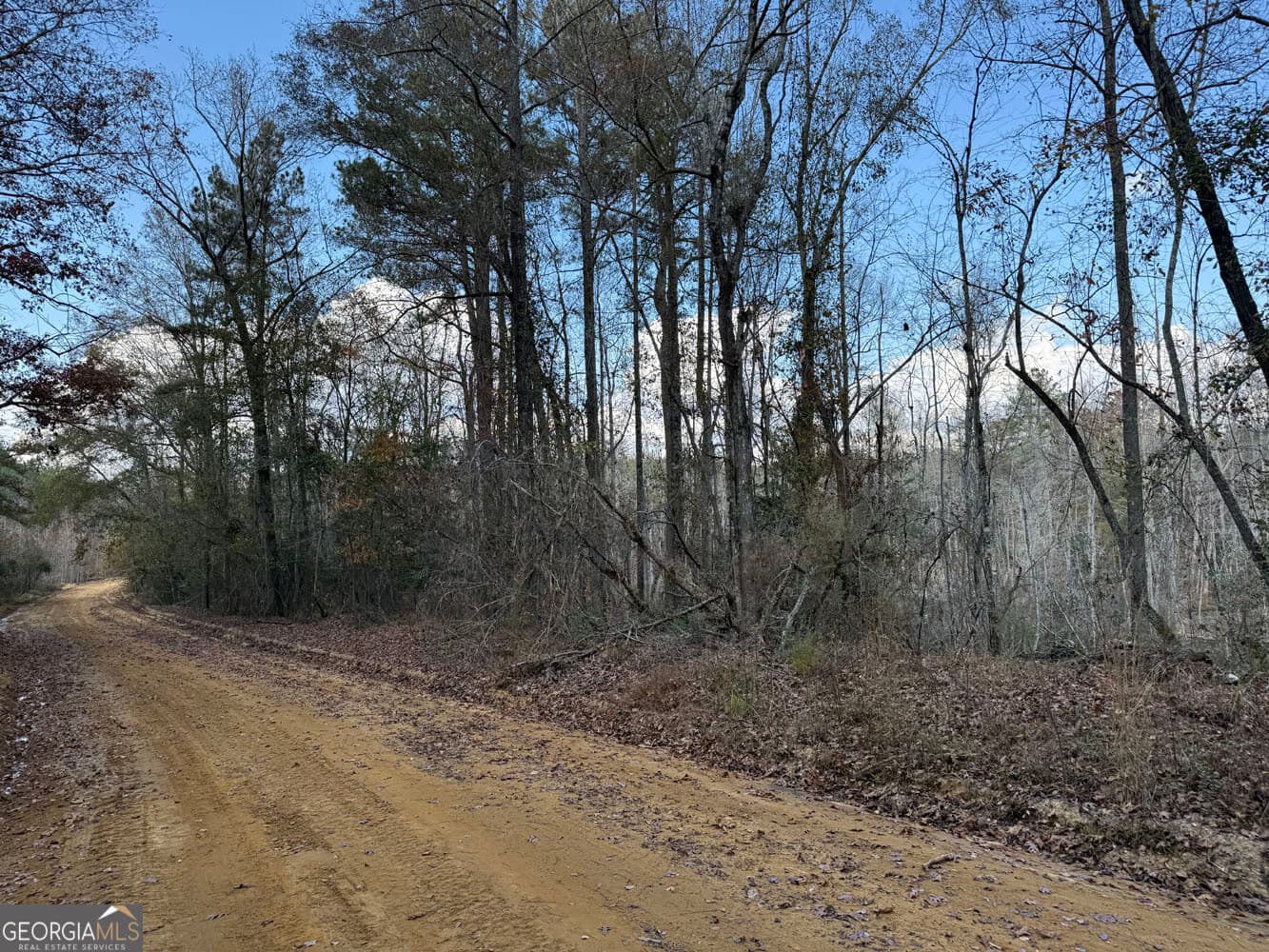 unimproved land for sale at 994 Joe Jones Road, Ideal, GA 31041 — photo 6
