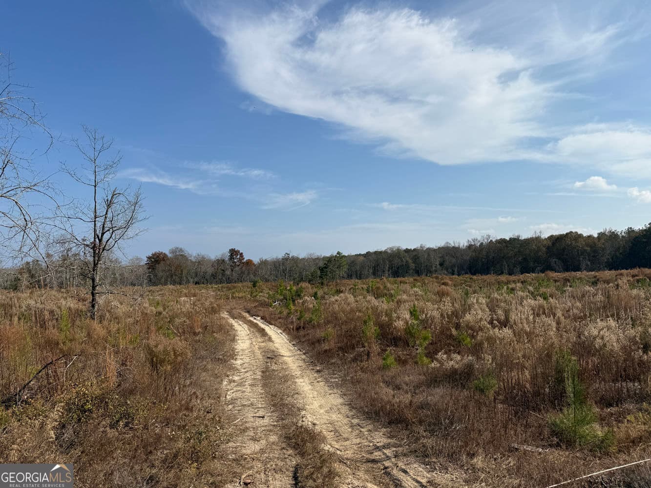 unimproved land for sale at 994 Joe Jones Road, Ideal, GA 31041 — photo 7