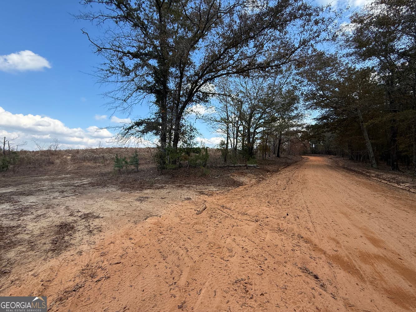 unimproved land for sale at 994 Joe Jones Road, Ideal, GA 31041 — photo 3