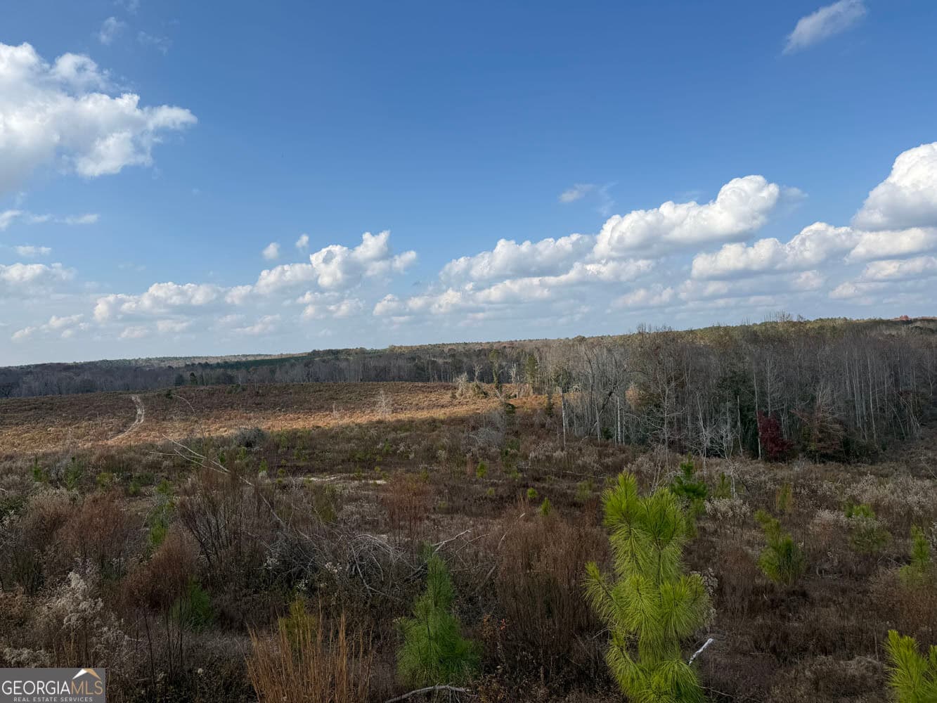 unimproved land for sale at 994 Joe Jones Road, Ideal, GA 31041