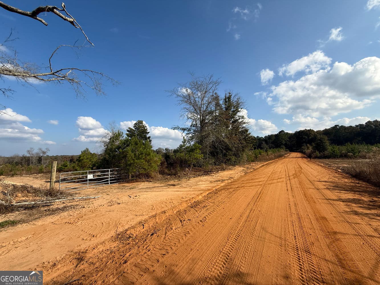 unimproved land for sale at 994 Joe Jones Road, Ideal, GA 31041 — photo 5
